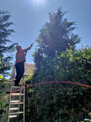 Обрезкасадовых деревьев, уход за садом садовник Одеса